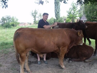 Mirko Devčić u Staroj Kapeli