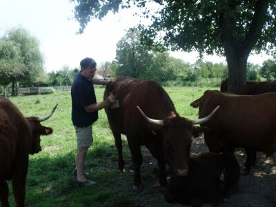 Mirko Devčić u Staroj Kapeli