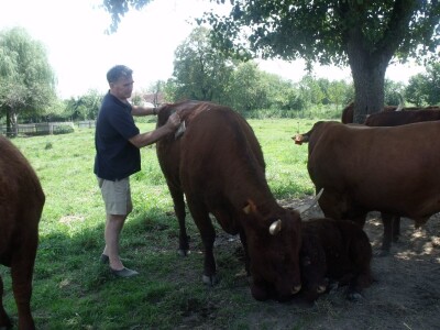 Mirko Devčić u Staroj Kapeli