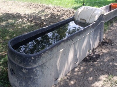 Mirko Devčić u Staroj Kapeli