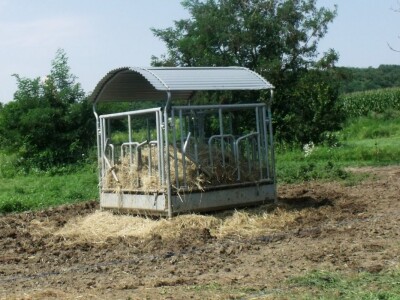 Mirko Devčić u Staroj Kapeli