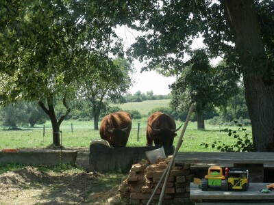 Mirko Devčić u Staroj Kapeli