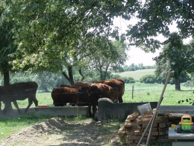 Mirko Devčić u Staroj Kapeli