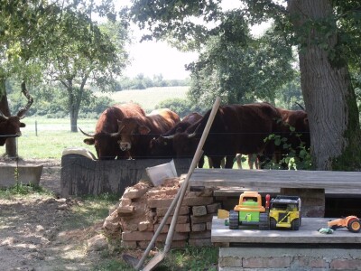Mirko Devčić u Staroj Kapeli