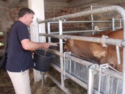 Mirko Devčić u Staroj Kapeli