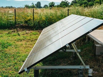 Mirko Gadžo - začetnik uzgoja aronije u Imotskom