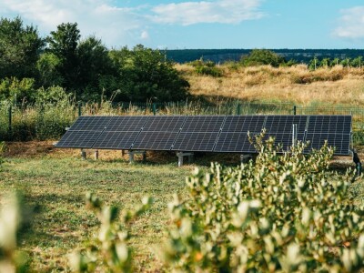 Mirko Gadžo - začetnik uzgoja aronije u Imotskom