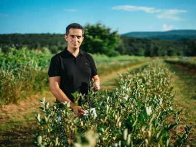 Mirko Gadžo - začetnik uzgoja aronije u Imotskom