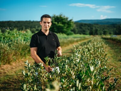 Mirko Gadžo - začetnik uzgoja aronije u Imotskom
