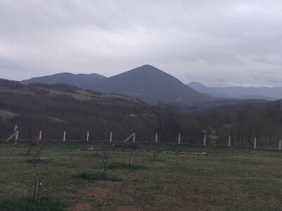 Mirko Sladojević Mirko Sladojević