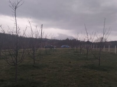 Mirko Sladojević Mirko Sladojević