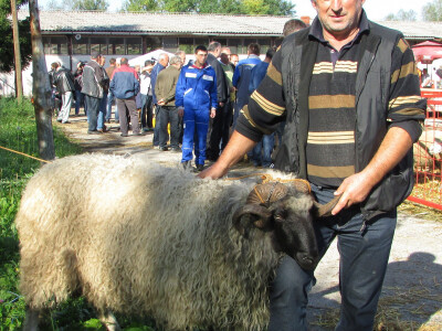 Mirko-Trubarac-Mljecanica