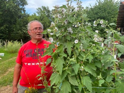 "Miroč: Čuvar netaknute lepote - Priča o Dimitriju Kecojeviću i njegovom životu među impozantnim stenama"