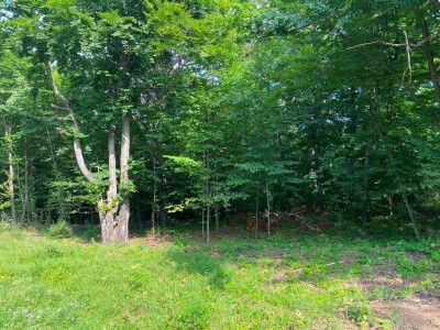 "Miroč: Čuvar netaknute lepote - Priča o Dimitriju Kecojeviću i njegovom životu među impozantnim stenama"