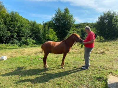 "Miroč: Čuvar netaknute lepote - Priča o Dimitriju Kecojeviću i njegovom životu među impozantnim stenama"