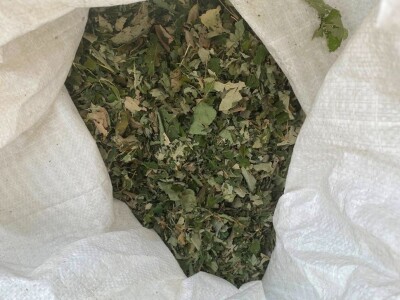 "Miroč: Čuvar netaknute lepote - Priča o Dimitriju Kecojeviću i njegovom životu među impozantnim stenama"