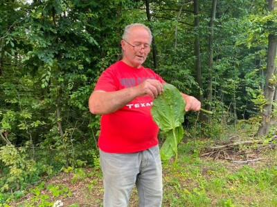 "Miroč: Čuvar netaknute lepote - Priča o Dimitriju Kecojeviću i njegovom životu među impozantnim stenama"