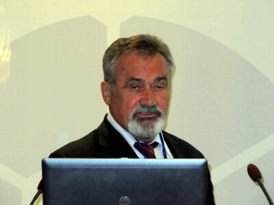 prof. dr Miroslav Malešević