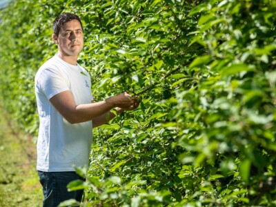 Voćar Miroslav Kolić