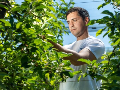 Voćar Miroslav Kolić