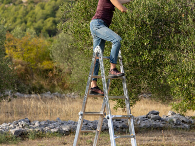 Krause ljestve Krause ljestve