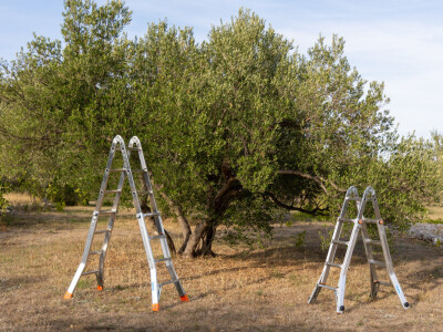 Krause ljestve Krause ljestve