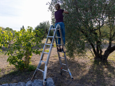 Krause ljestve Krause ljestve