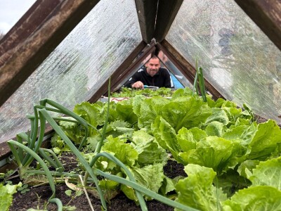 Miruju li kalifornijske gliste zimi?