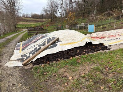 Miruju li kalifornijske gliste zimi?