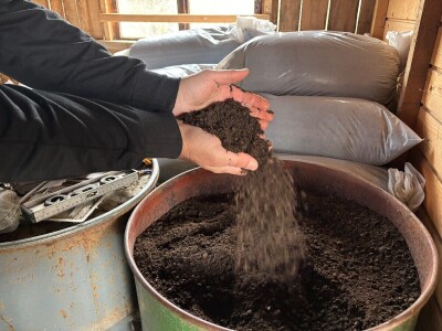 Miruju li kalifornijske gliste zimi?