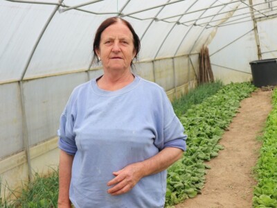 Mirzaha Huseinović u svojim plastenicima