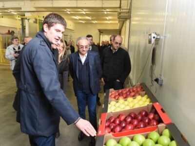 Miroslav Mišković, predsednik Delta holdinga u obilasku sa saradnicima