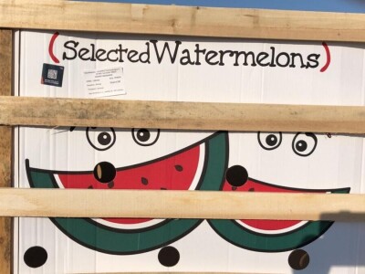 MISLIŠ LI DA ZNAŠ ŠTO JEDEŠ?