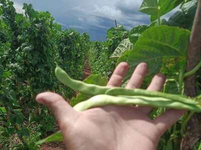 Mješovito gazdinstvo Mješovito gazdinstvo