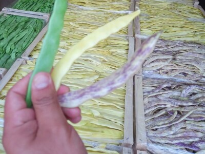 Mješovito gazdinstvo Mješovito gazdinstvo