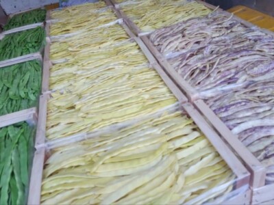 Mješovito gazdinstvo Mješovito gazdinstvo