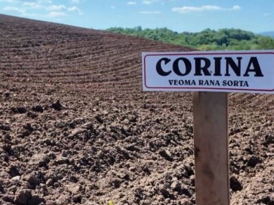 Mješovito poljoprivredno-stočarsko gazdinstvo Hemion