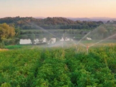 Mješovito poljoprivredno-stočarsko gazdinstvo Hemion