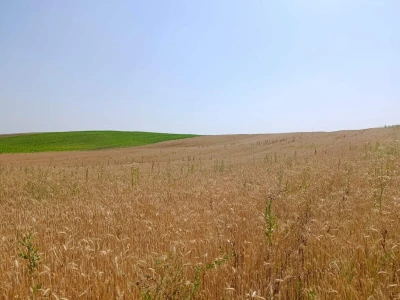 Mješovito poljoprivredno-stočarsko gazdinstvo Hemion