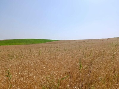 Mješovito poljoprivredno-stočarsko gazdinstvo Hemion