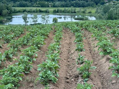 Mješovito poljoprivredno-stočarsko gazdinstvo Hemion