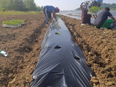 Mješovito poljoprivredno-stočarsko gazdinstvo Hemion