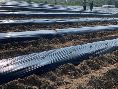 Mješovito poljoprivredno-stočarsko gazdinstvo Hemion