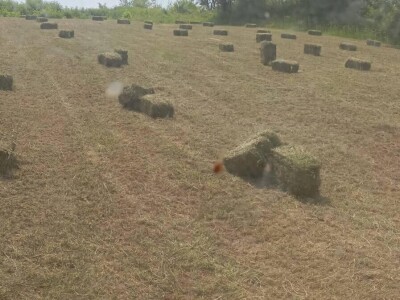 Mješovito poljoprivredno-stočarsko gazdinstvo Hemion