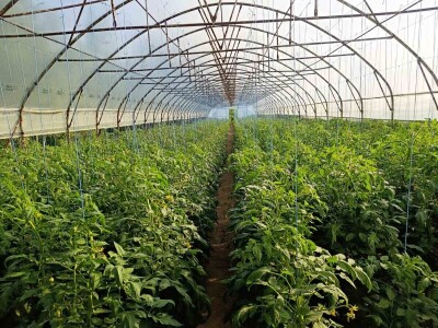 Mješovito poljoprivredno-stočarsko gazdinstvo Hemion