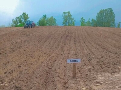 Mješovito poljoprivredno-stočarsko gazdinstvo Hemion