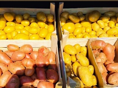 Mješovito poljoprivredno-stočarsko gazdinstvo Hemion