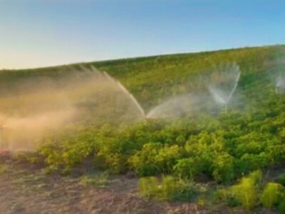Mješovito poljoprivredno-stočarsko gazdinstvo Hemion