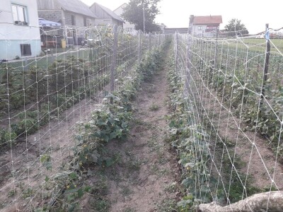 Mještani Dražev Doca sumiraju štete od grada