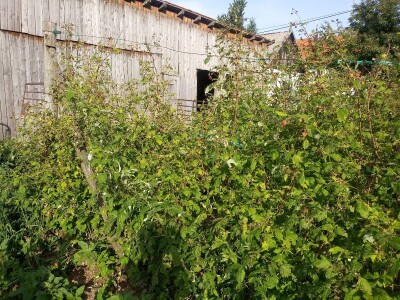 Mještani Dražev Doca sumiraju štete od grada